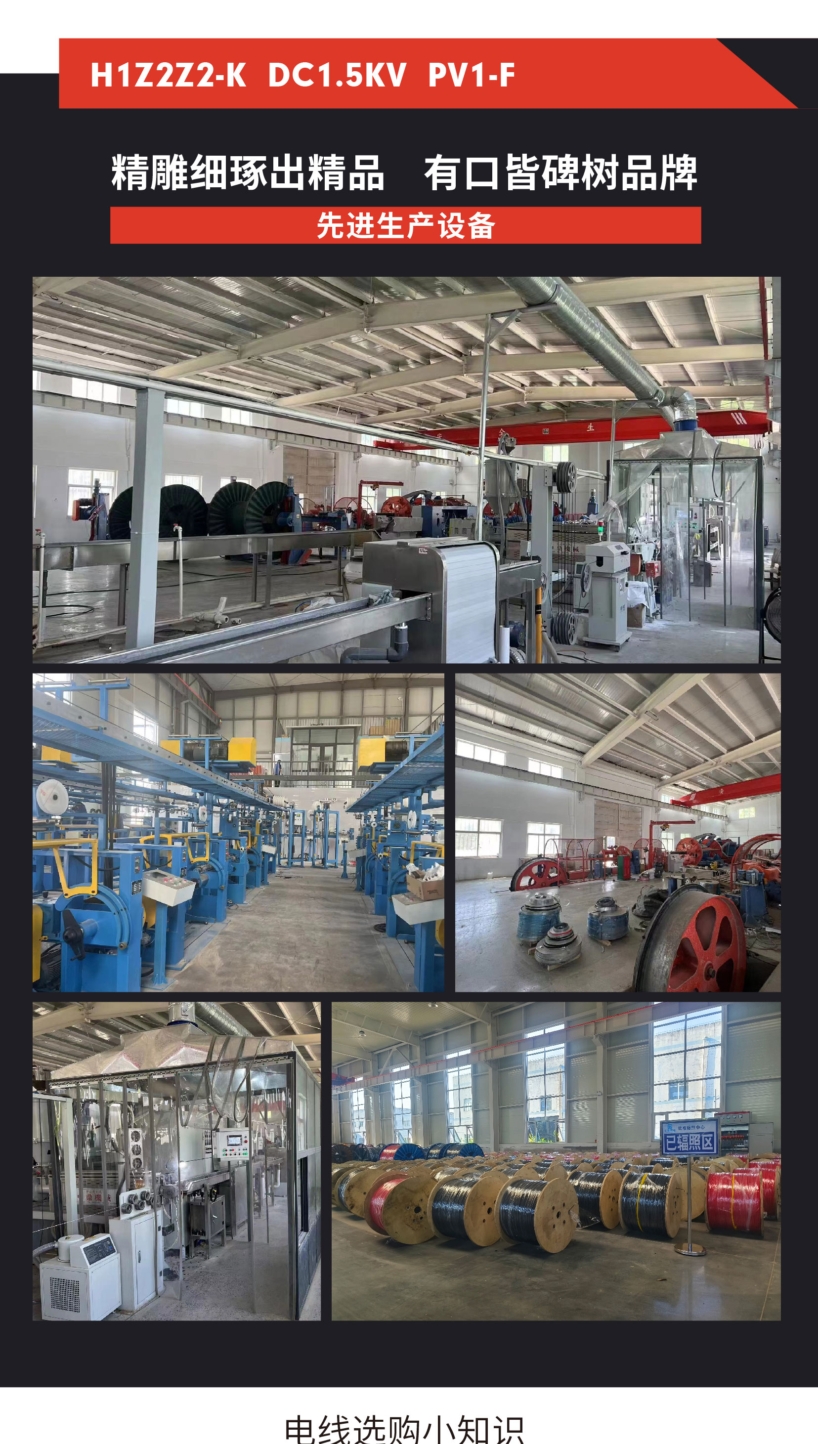 248cc�������Ź���