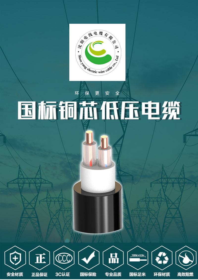 248cc�������Ź���