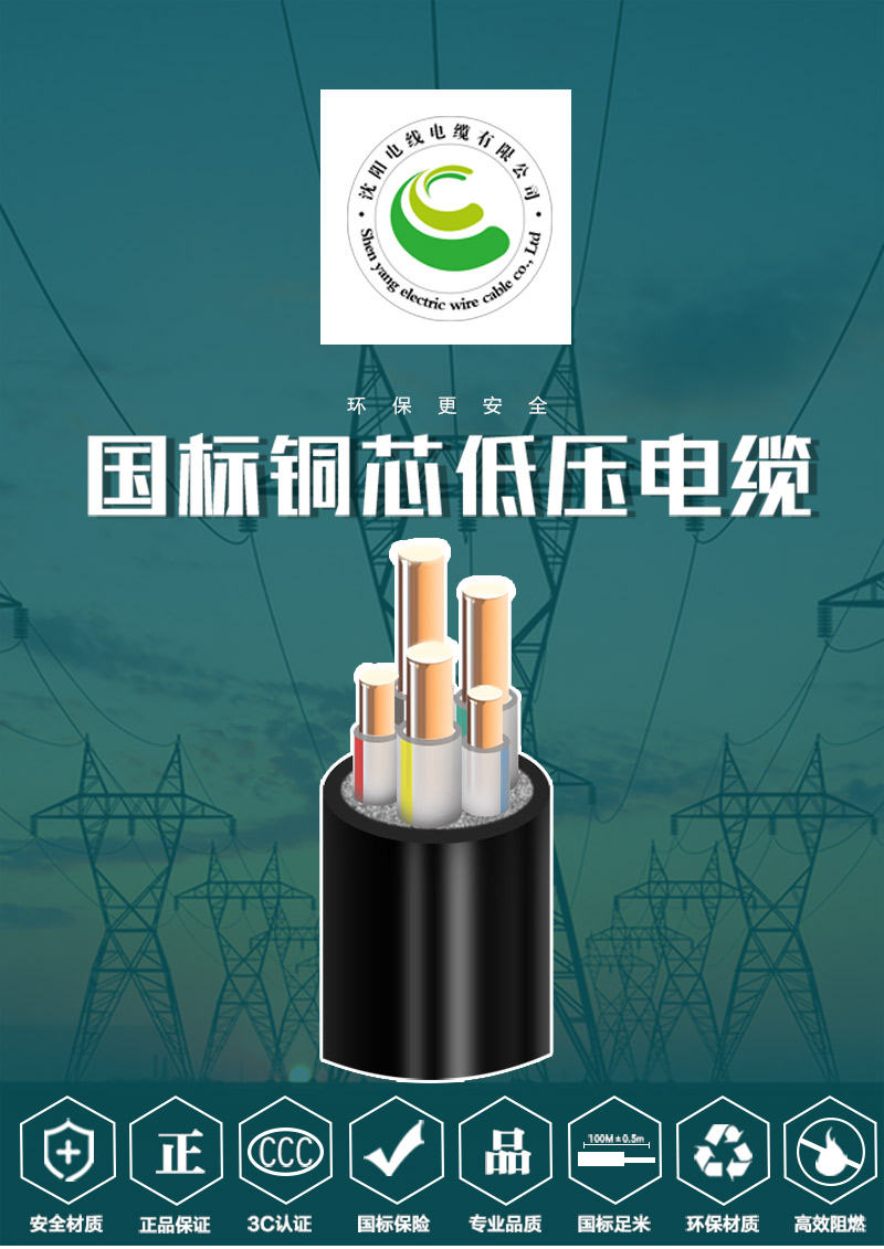 248cc�������Ź���