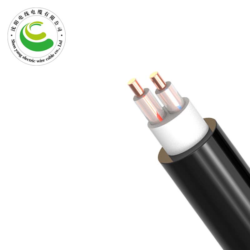 2о��������  ZR-VV  2*1.5mm?--2*50mm? ͭо���� ��ȼͭо������ϩ��Ե������ϩ���׵�������