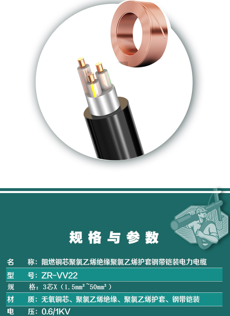 248cc�������Ź���