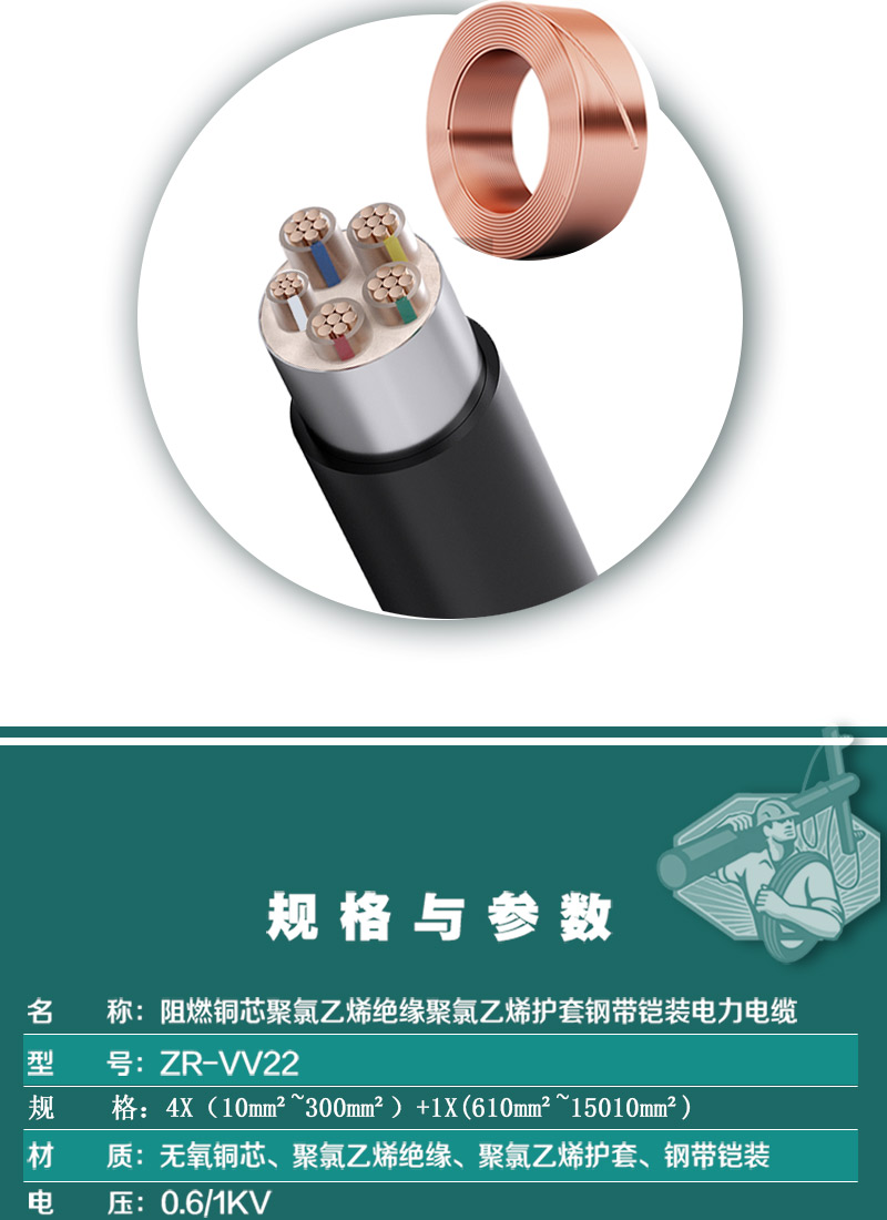 248cc�������Ź���