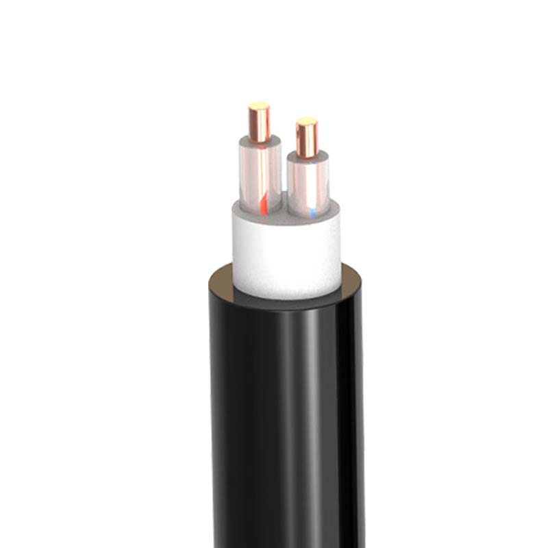 2о��������  ZR-VV  2*1.5mm?--2*50mm? ͭо���� ��ȼͭо������ϩ��Ե������ϩ���׵�������