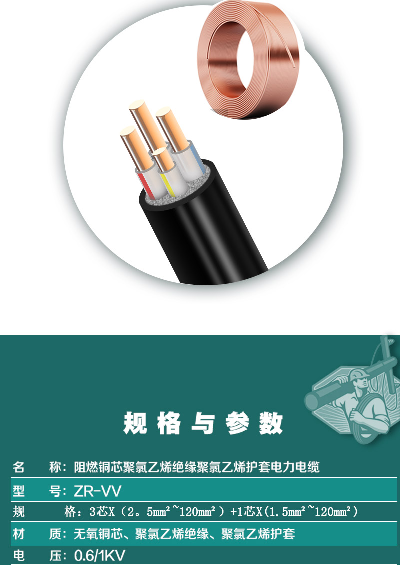 248cc�������Ź���