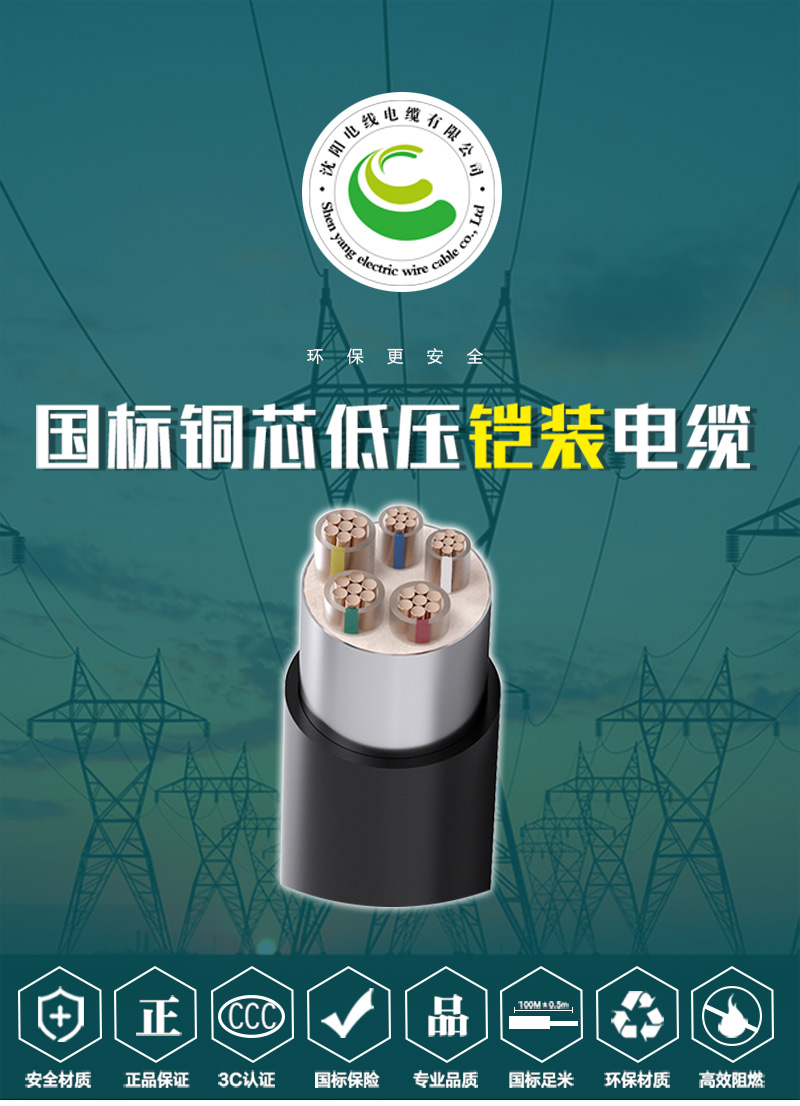 248cc�������Ź���