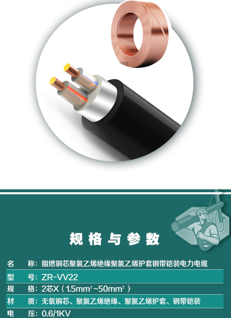 248cc�������Ź���