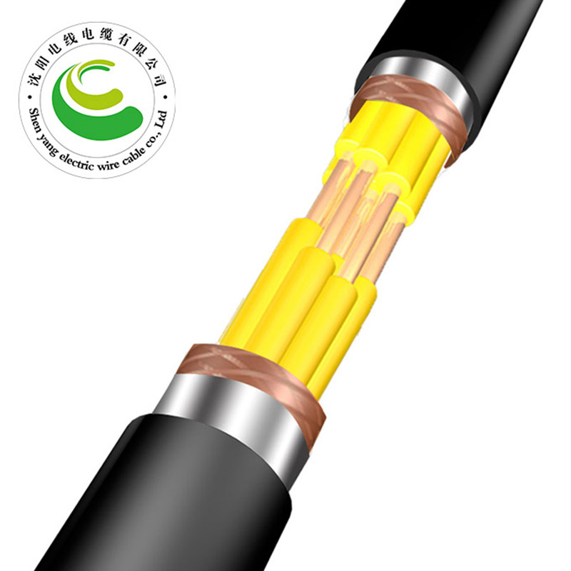 20о  ZR-KVVP22  2--30о*�� 1.5--2.5mm?��  ��ȼͭо������ϩ��Ե����ϩ���׸ִ���װ����