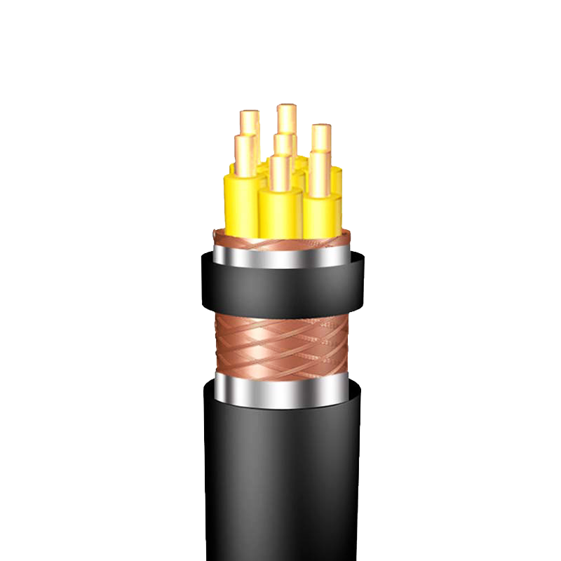 7о  ZR-KVVP22  2--30о*�� 1.5--2.5mm?��  ��ȼͭо������ϩ��Ե����ϩ���׸ִ���װ����