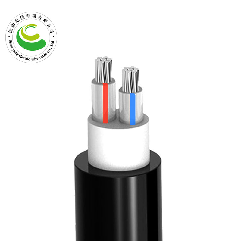 2о  ZR-YJLV 2*10mm?--2*35mm? ��о��������ϩ��Ե������ϩ�����ߵ�������