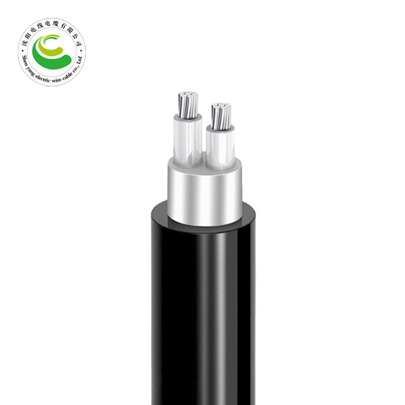 2о  ZR-YJLV22 2*10mm?--2*35mm? ��о��������ϩ��Ե������ϩ���׸ִ���װ��������