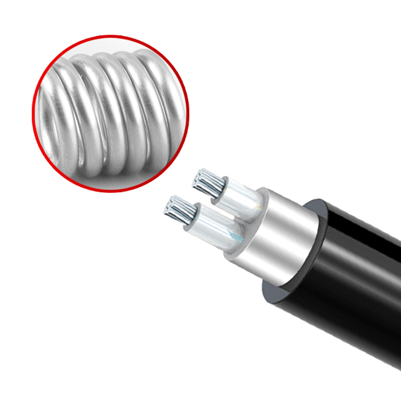 2о  ZR-YJLV22 2*10mm?--2*35mm? ��о��������ϩ��Ե������ϩ���׸ִ���װ��������