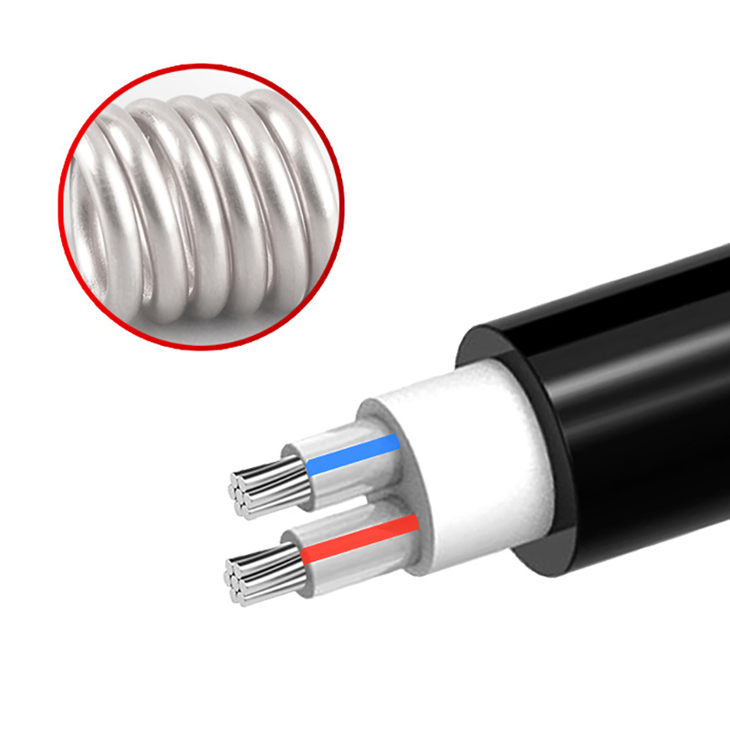 2о  ZR-YJLV 2*10mm?--2*35mm? ��о��������ϩ��Ե������ϩ�����ߵ�������