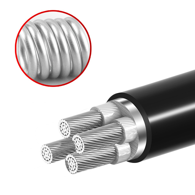 4о  ZR-YJLV22 4*10mm?--4*400mm? ��о��������ϩ��Ե������ϩ���׸ִ���װ��������