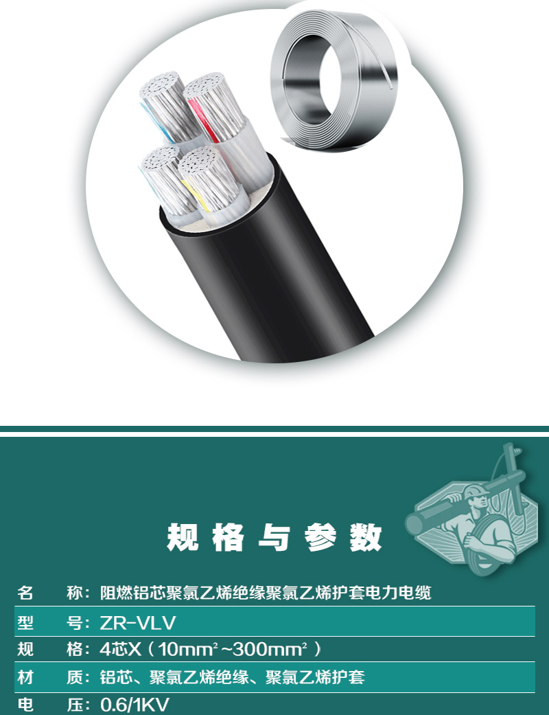 248cc�������Ź���