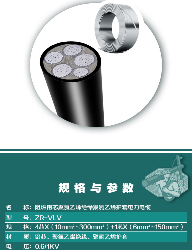 248cc�������Ź���