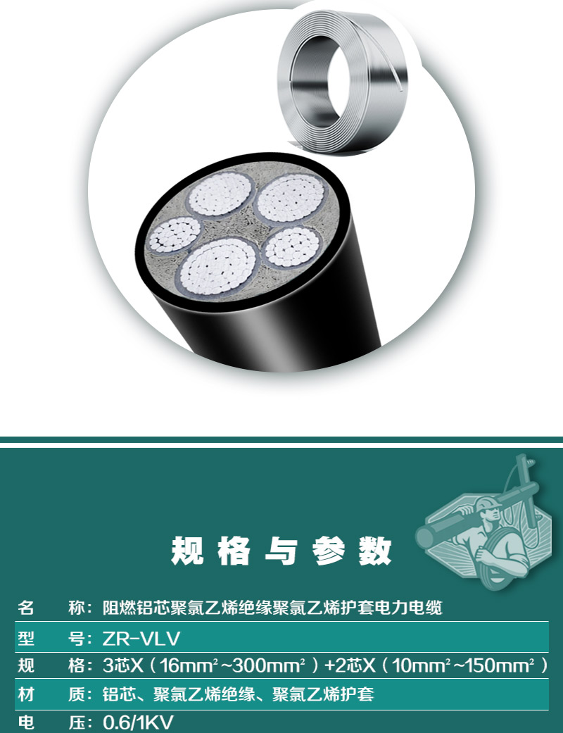 248cc�������Ź���