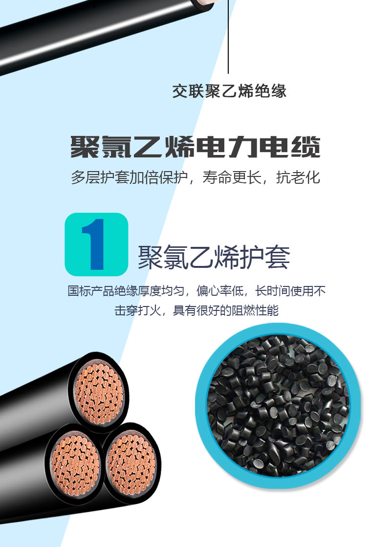 248cc�������Ź���