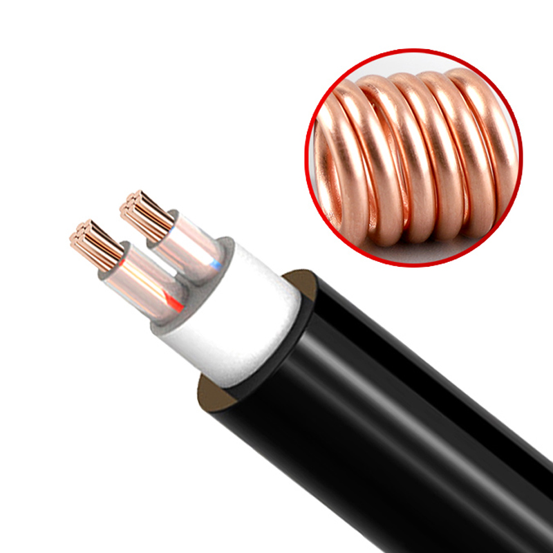 2о�������� ZR-YJV 2*1.5mm?--2*50mm? ��������ϩ��Ե������ϩ���׵�������  ͭо��������