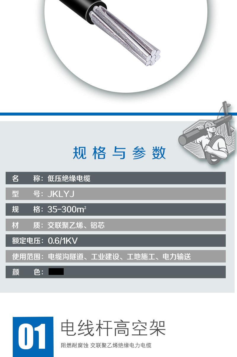 248cc�������Ź���