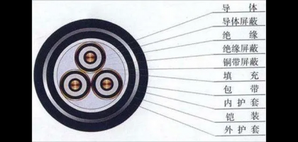 ��������Щ���������������������ʲôѡ���׼������������