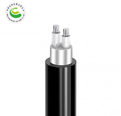 2о  ZR-YJLV22  2*10mm?--2*35mm? ��о��������ϩ��Ե������ϩ������װ�������� ��о��������