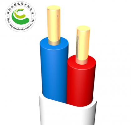 2о ZR-BVVR  2*1.0mm?-2*10mm? ��ȼͭо������ϩ��Ե����ϩ���ױ��͵���