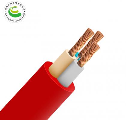 YZW-450/750V-3*2.5mm?-���ʷ�����ͭо������-95��/��