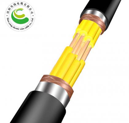 7о  ZR-KVVP22  2--30о*�� 1.5--2.5mm?��  ��ȼͭо������ϩ��Ե����ϩ���׸ִ���װ����