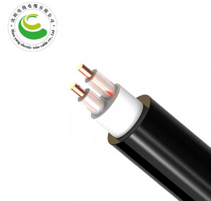 2о  ZR-YJV  2*1.5mm?--2*50mm? ͭо���� ��������ϩ��Ե������ϩ���׵�������