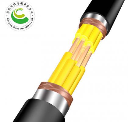 6о  ZR-KVVP22  2--30о*�� 1.5--2.5mm?��  ��ȼͭо������ϩ��Ե����ϩ���׸ִ���װ����