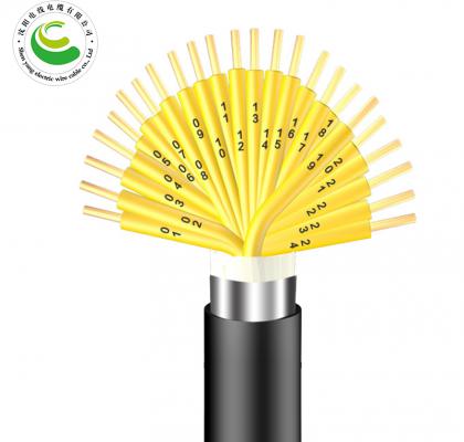 24о  ZR-KVV22 2--30о*�� 1.5-2.5mm?��  ��ȼͭо������ϩ��Ե����ϩ���׸ִ���װ����