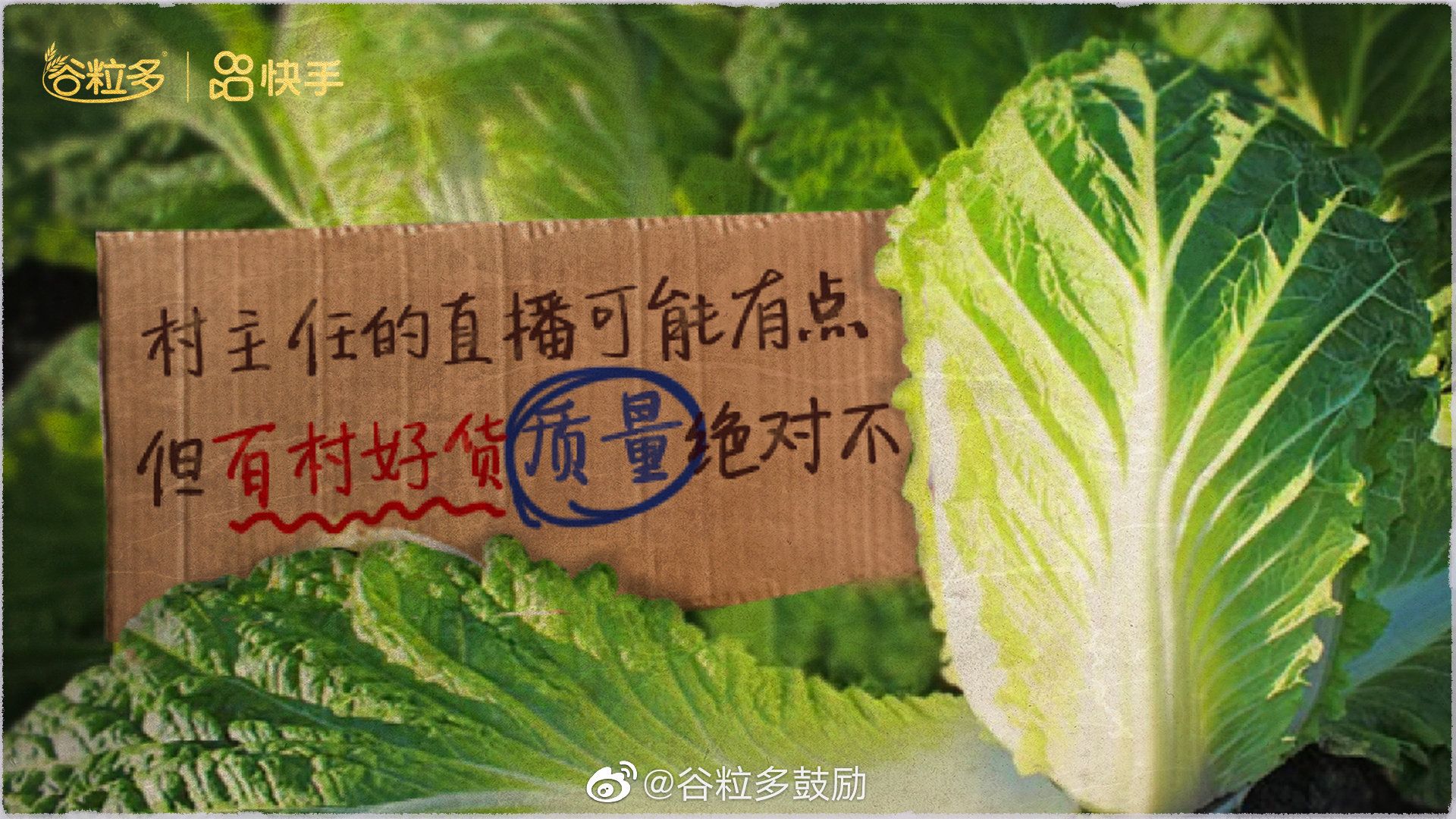 989e1005-bbb4-4130-b289-eea7a74b5f7d1673507185519 989e1005-bbb4-4130-b289-eea7a74b5f7d1673507185519